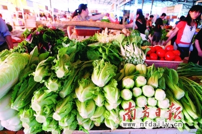 　　←蔬菜农残超标威胁市民餐桌。资料图片
