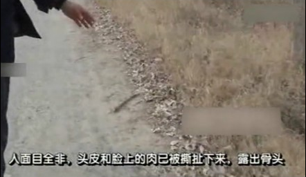 视频截图