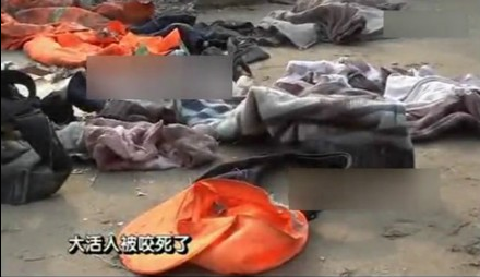 老人被撕咬致死 视频截图