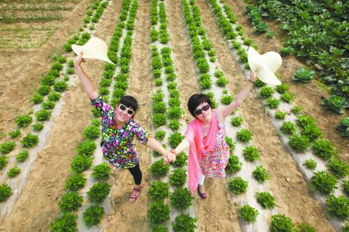 女白领周末变身农场主称和土地接触心里踏实