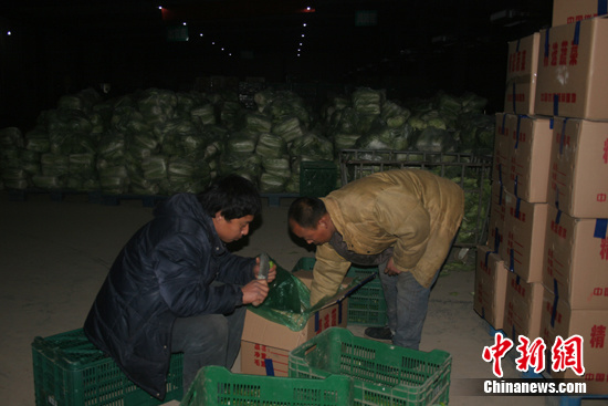 十八大后看河北：固安打造“蔬菜产业示范县”