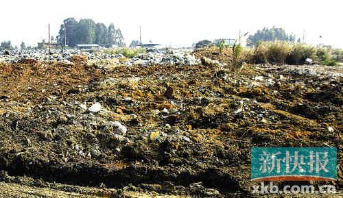 广州暂停金山垃圾菜上市垃圾集散地一夜清空