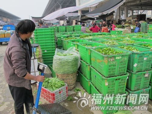 福州新闻网