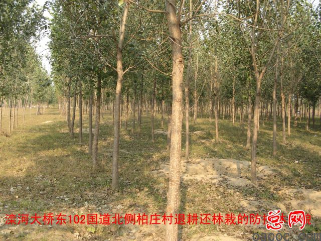 河北迁安:霸道村官如此嚣张无人监管11
