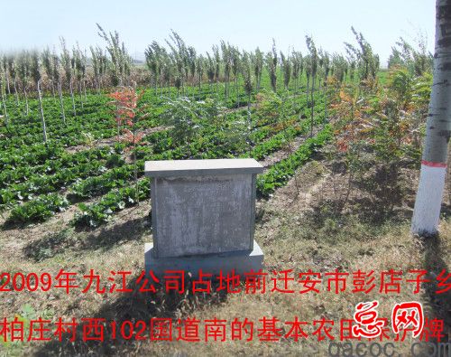 河北迁安:霸道村官如此嚣张无人监管1