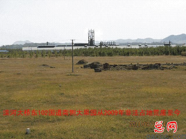 迁安市彭店子乡柏庄村100多亩土地荒芜4年坑农害农侵害农民利益谁之过4