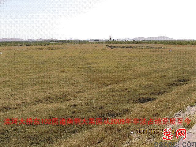 迁安市彭店子乡柏庄村100多亩土地荒芜4年坑农害农侵害农民利益谁之过3