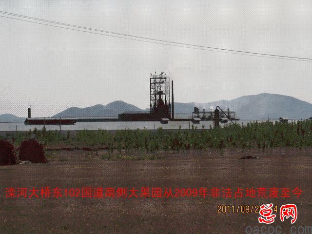迁安市彭店子乡柏庄村100多亩土地荒芜4年坑农害农侵害农民利益谁之过5