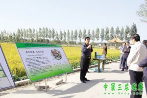 生态农业