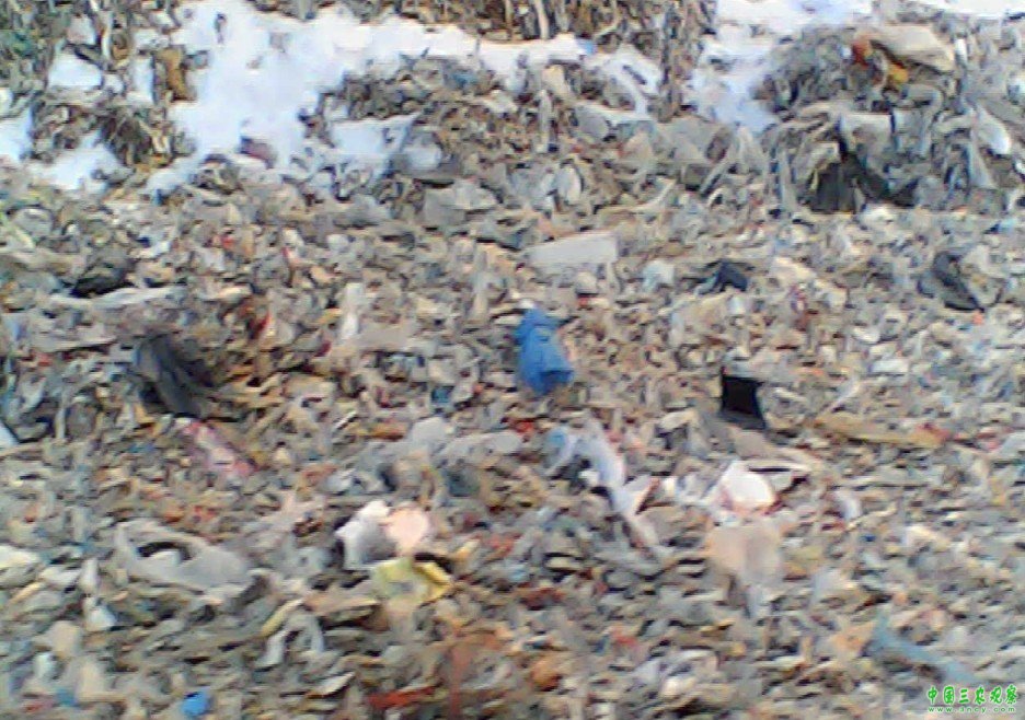 20130222141550519.jpg