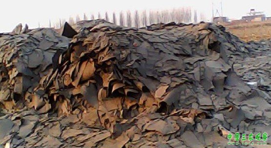 20130222141551142.jpg
