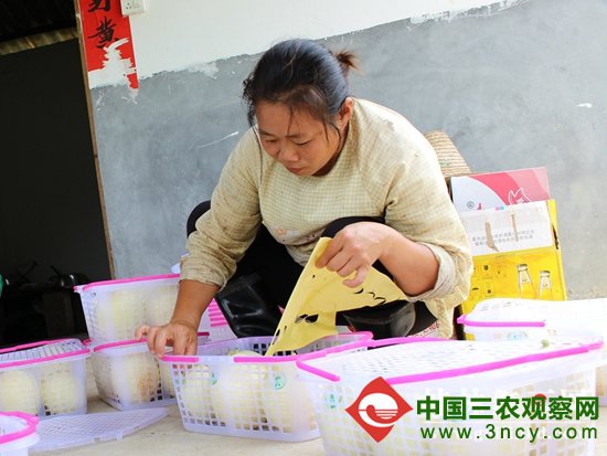 荔浦特色农产品贴上“身份证” 杜绝山寨产品