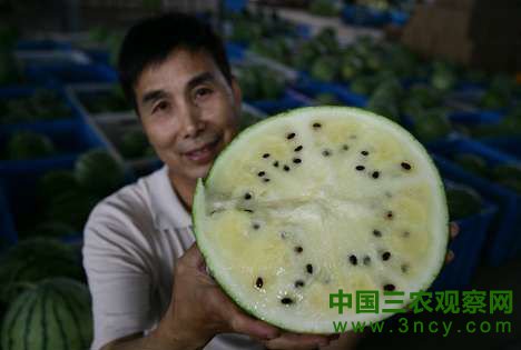 200元一只冰淇淋西瓜 好吃又畅销