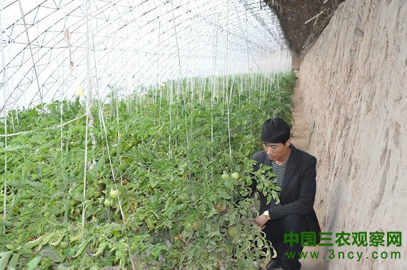 山西朔州市安志瑞：主动转型 黑色反哺绿色5