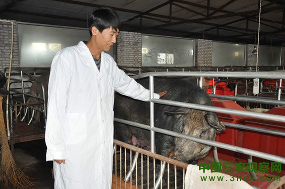 山西朔州市安志瑞：主动转型 黑色反哺绿色4