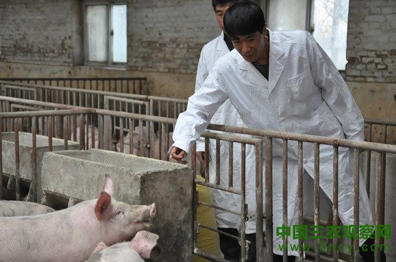 山西朔州市安志瑞：主动转型 黑色反哺绿色3
