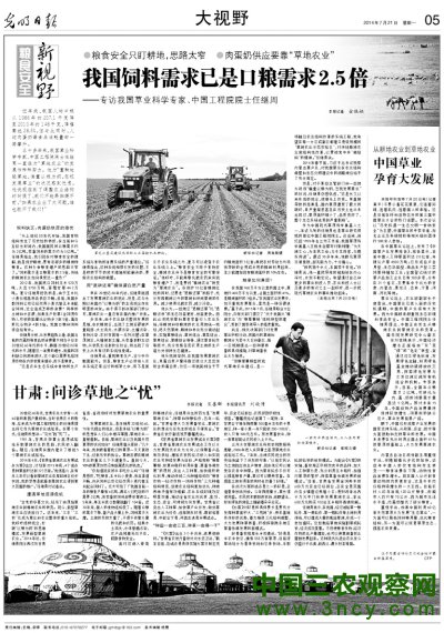 专家谈人畜争粮：粮食安全一大压力来自饲料用粮