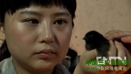 湖南祁东县:大学生两年变身财富女神《致富经》2