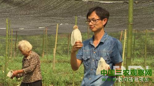江西会昌县：盯上穿裙子的竹姑娘好赚钱《致富经》