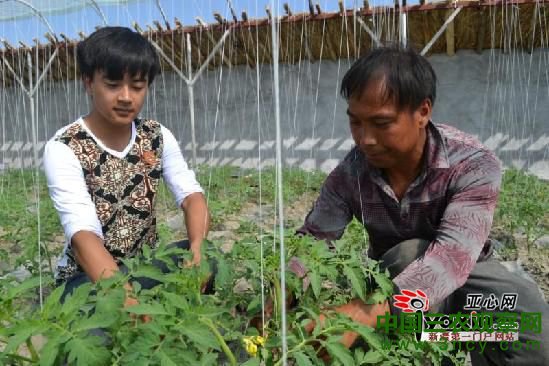 温室大棚成为乌苏市老百姓增收致富新途径