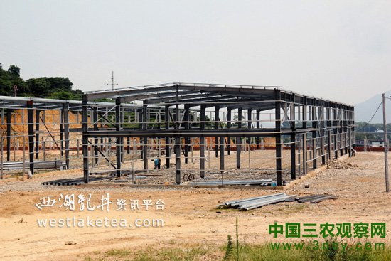 建设茶叶加工集中区 福鼎白琳镇走向茶业复兴之路