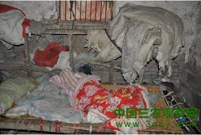 安徽涡阳：假村干横行乡里 滥用权为亲属办低保