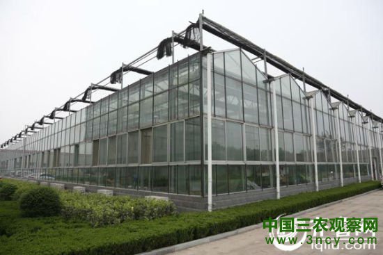 临沂民企以创业带动当地百姓致富塑造现代农民
