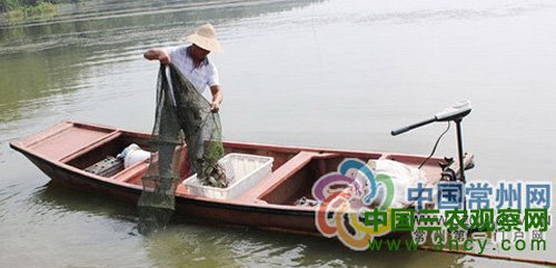 开捕螃蟹