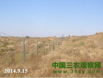 图8 内蒙古奈曼旗草原