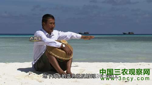 致富经:南海奇人的传奇财富4