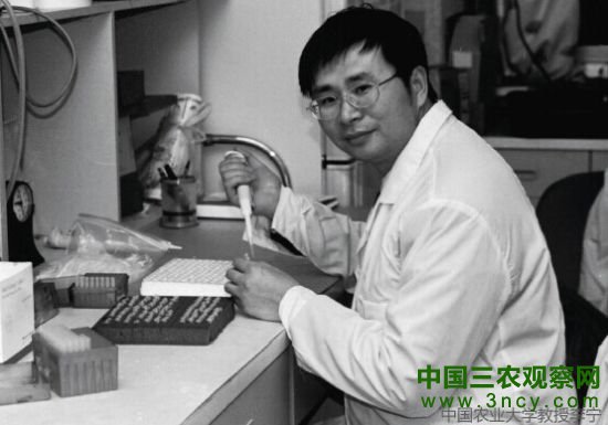 中国农业大学教授李宁