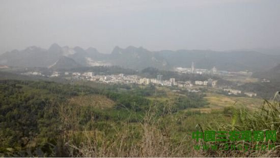 翁源铁龙林场突发群体性疾病，官方称是总大肠杆菌超标所致，医检检出15儿童血铅超标