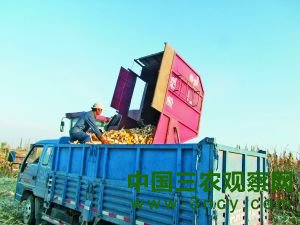 每亩多收100多斤<a  data-cke-saved-href=http://www.chinagrain.cn/yumi/ href=http://www.chinagrain.cn/yumi/ target=_blank>玉米</a>