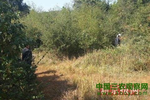 点击进入下一页