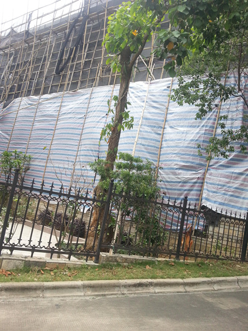 广州增城区绿洋工程公司勾结当地官员非法拆建 广州增城区绿洋工程公司勾结当地官员非法拆建
