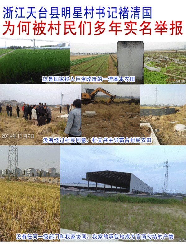 浙江天台县明星村书记褚清国为何被村民们多年实名举报