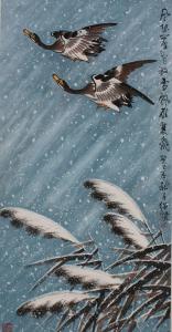 雨燕.jpg