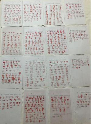 济南历下区一村主任携血书举报村书记