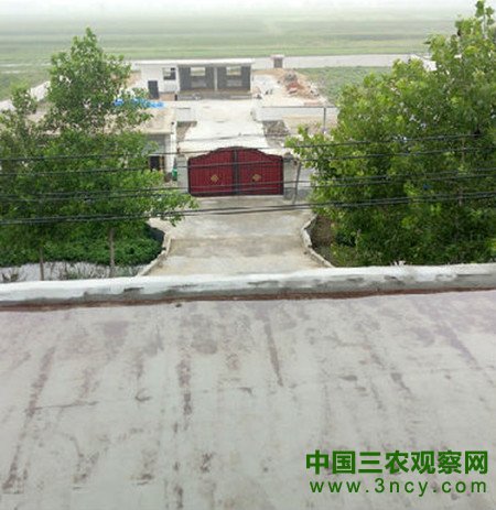 河南息县：官商利益链 谁来切断？2