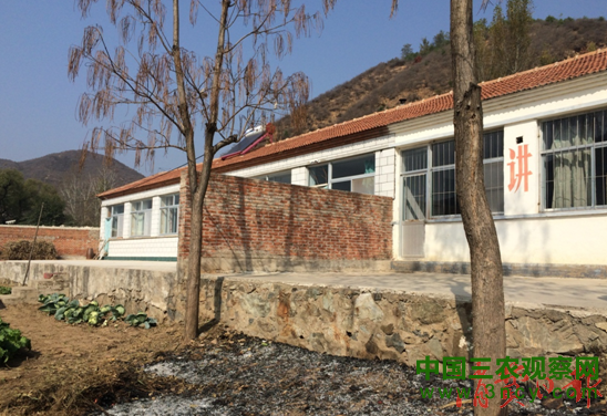 隆化小学全景.png