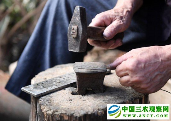 （社会）（3）苗族银饰：千锤百炼出瑰宝