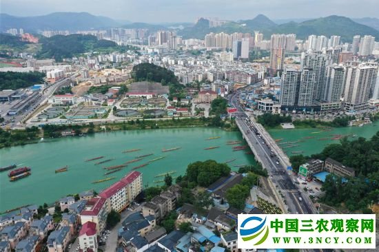 #（文化）（1）贵州铜仁：龙舟巡游迎端午