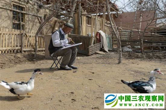(社会)(3)农民画家阿卜力克木追梦六十载