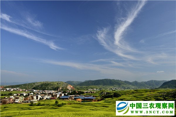 【问答神州-图文】【CHINANEWS-列表】湖南省祁东县委书记杜登峰:布局“五个祁东” 助推祁东跨越发展