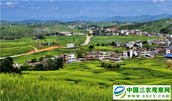 【问答神州-图文】【CHINANEWS-列表】湖南省祁东县委书记杜登峰:布局“五个祁东” 助推祁东跨越发展