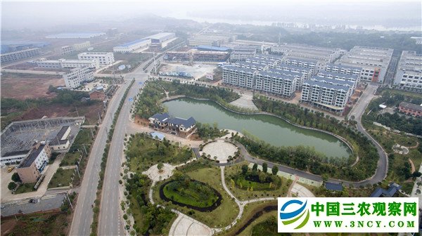【问答神州-图文】【CHINANEWS-列表】湖南省祁东县委书记杜登峰:布局“五个祁东” 助推祁东跨越发展