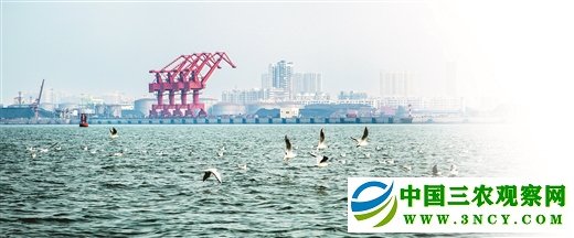 “钦”近山海 “南”得精彩