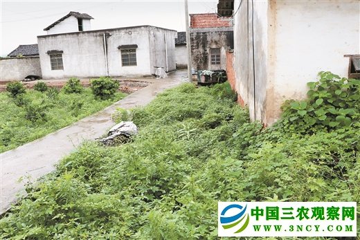 来宾象州:既要改变风貌 也要留住乡愁