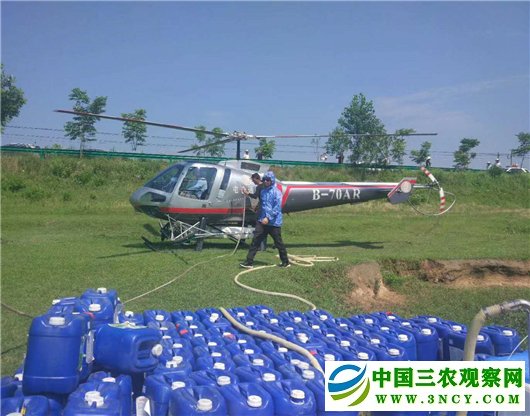 【湖北】【客户稿】黄冈市蕲春县飞防作业5.2万亩呵护松林安全