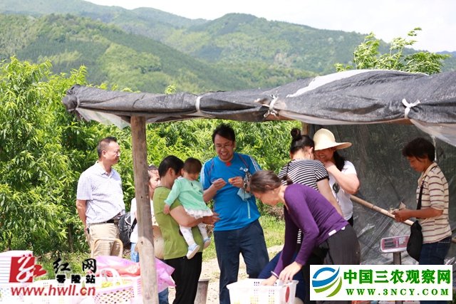 零陵:“生态直播”力助乡村振兴